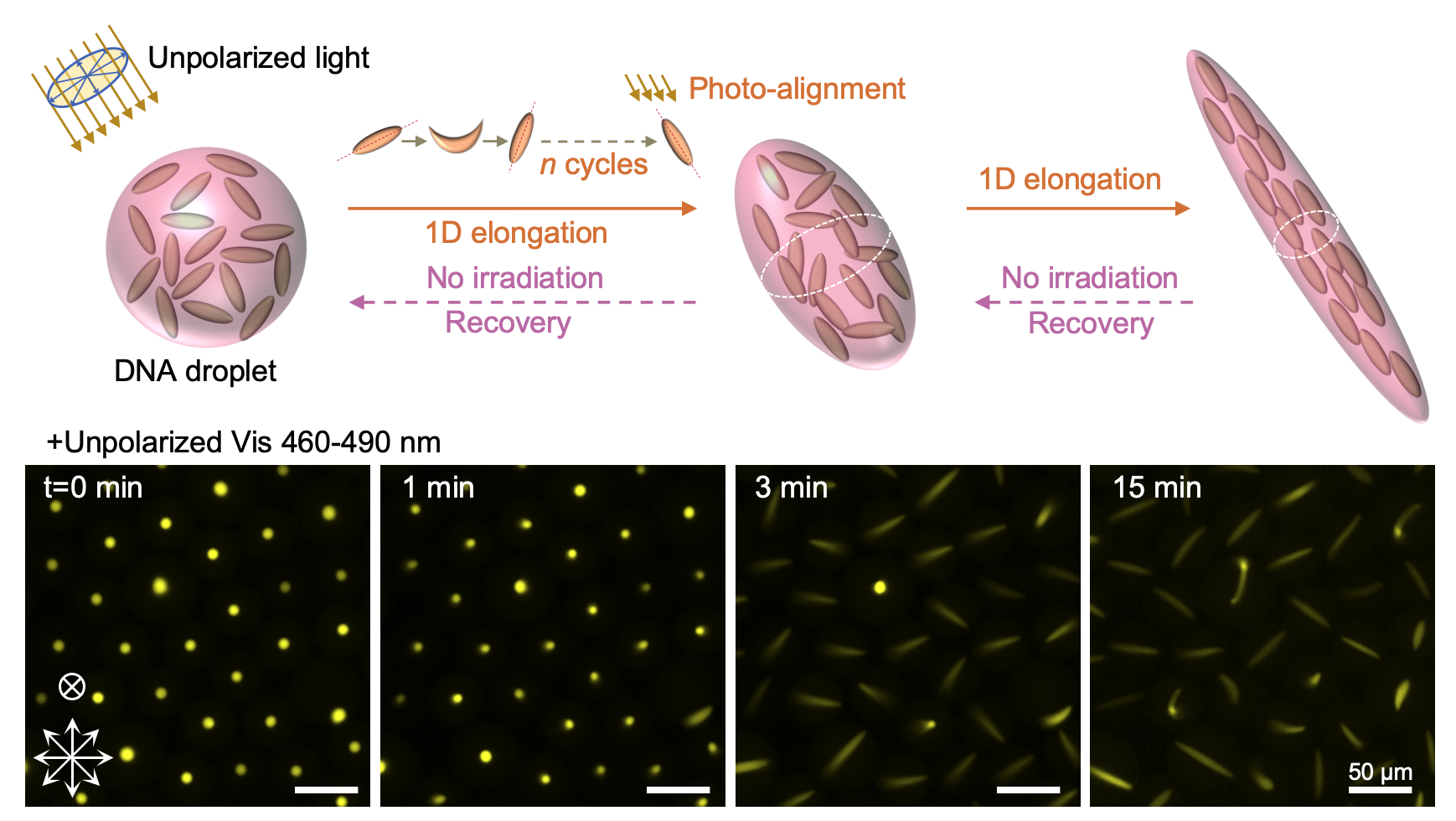 Screen Shot 2025-04-09 at 19.44.39.png