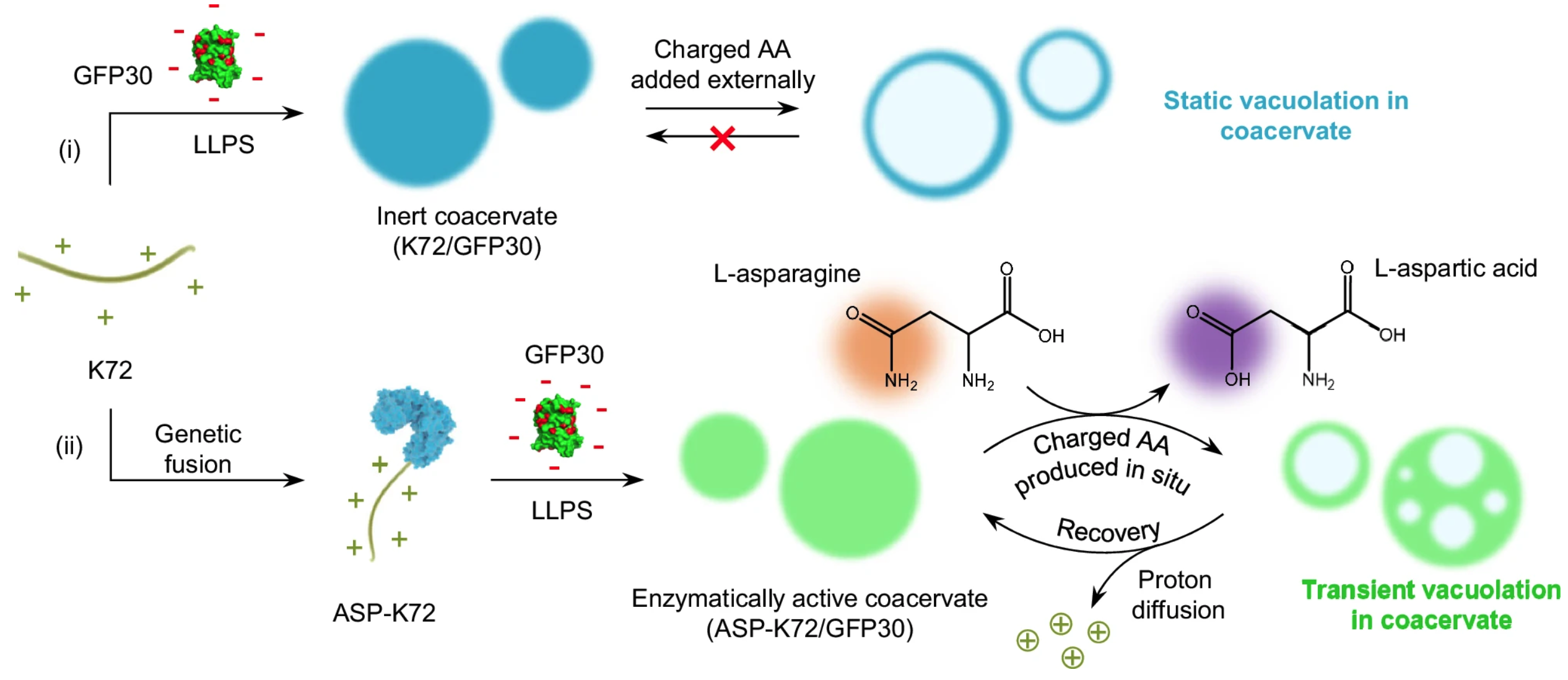 1751373946729127.png Screen Shot 2025-07-01 at 20.45.32.png