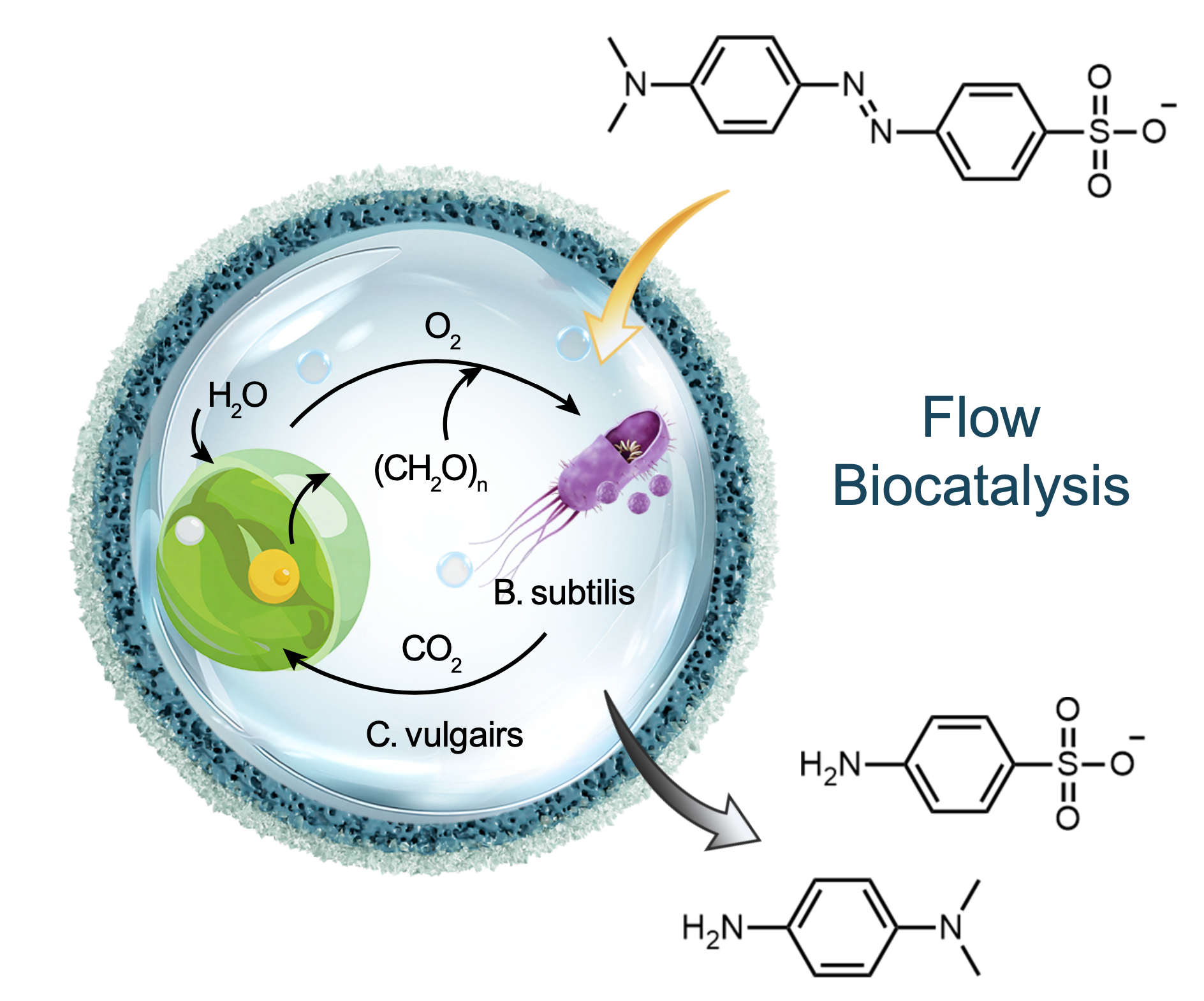 1770965271208673.png 1770965271208673.png